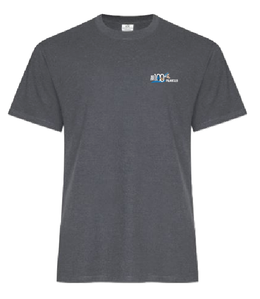 T-Shirt (homme)